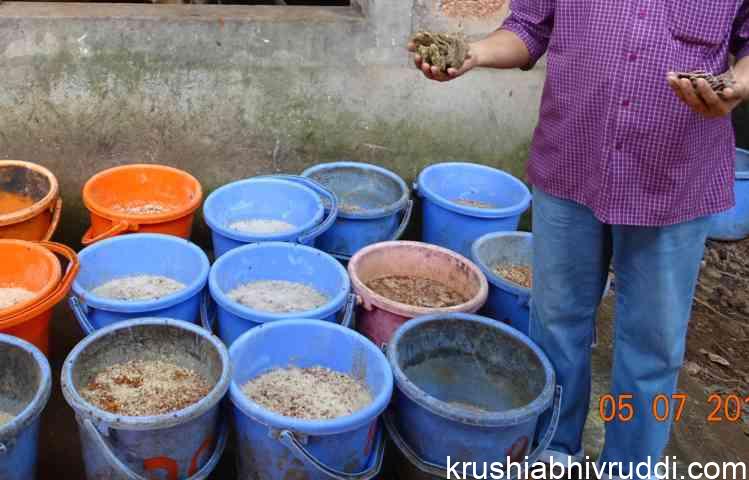 ನಾವೇ ಪಶು ಆಹಾರ ತಯಾರಿಸಿಕೊಂಡ ಹಸು ಸಾಕಾಣಿಕೆ
