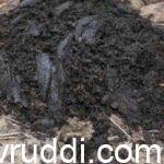 ಸಗಣಿ ಗೊಬ್ಬರ