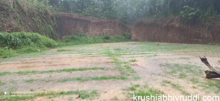 ಈ  ವರ್ಷದ  ಮಳೆ ಭವಿಷ್ಯ