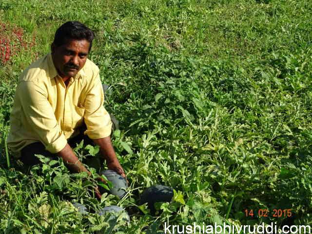 Suresh nayak on his farm