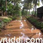 ಮೊದಲ ಮಳೆಯ ಈ ಕೆನ್ನೀರು ಅಸಾಧಾರಣ ಶಕ್ತಿ ಹೊಂದಿದೆ