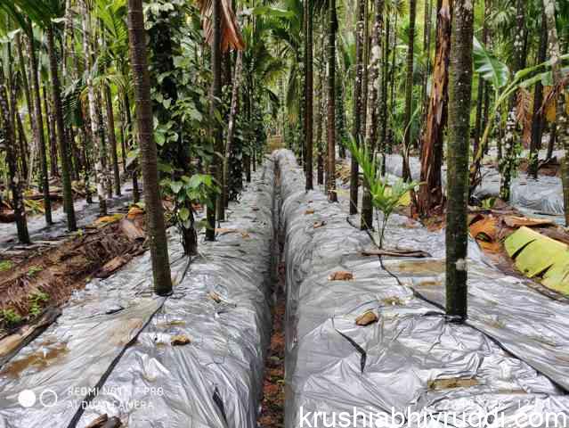 Mulching to whole ground