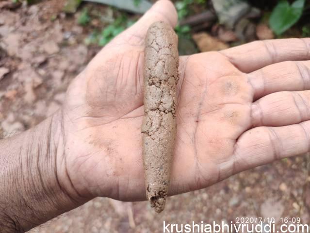 ನಾವೇ ಮಣ್ಣು ಪರೀಕ್ಷಿಸುವ ವಿಧಾನ