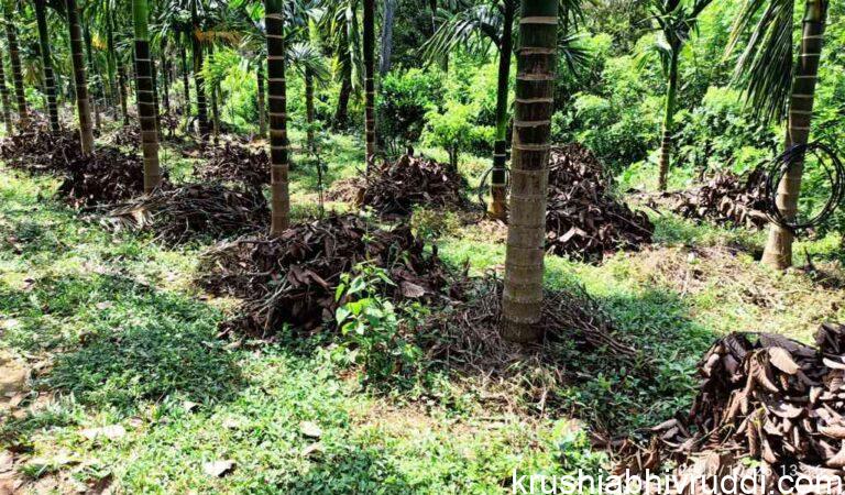 method of green leaf mulching