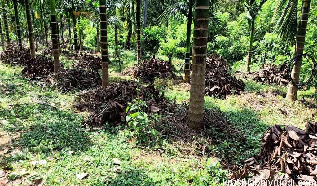 method of green leaf mulching