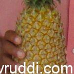 ಅನನಾಸು ಹಣ್ಣು