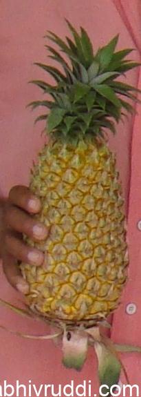 ಅನನಾಸು ಹಣ್ಣು