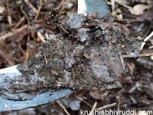 leaf de composing on field