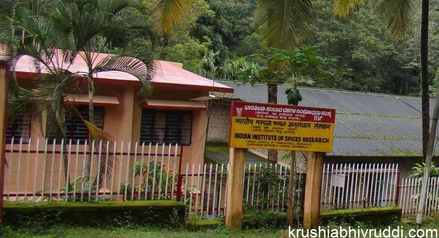 ಸಾಂಬಾರ ಬೆಳೆಗಳ ಸಂಶೊಧನಾ ಸಂಸ್ಥೆ ಅಪ್ಪಂಗಳ ಮಡಿಕೇರಿ