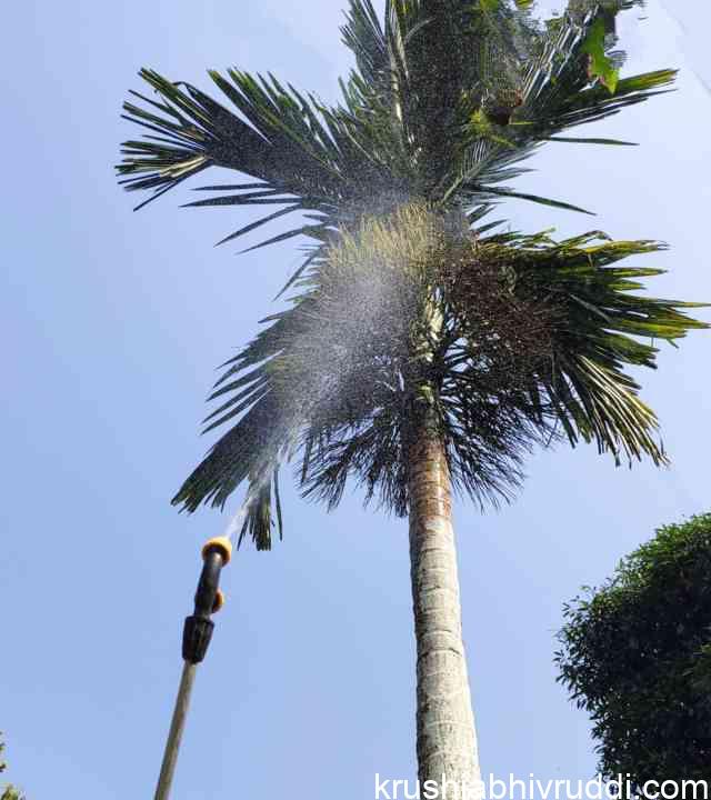 arecanut spray
