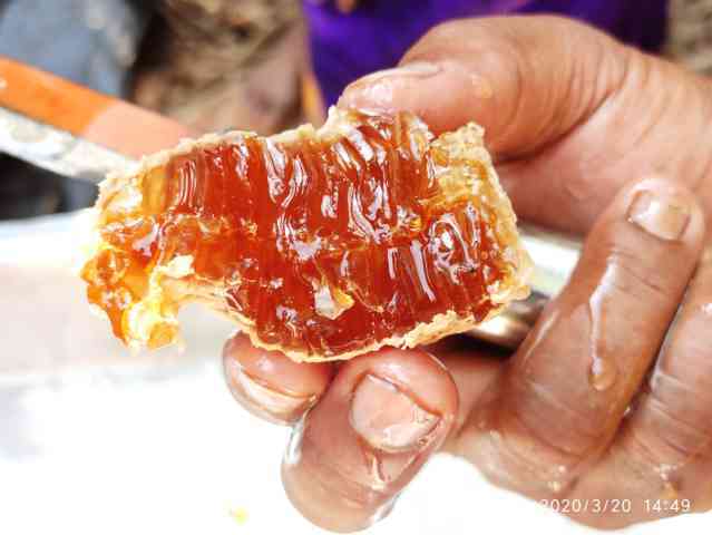 honey comb