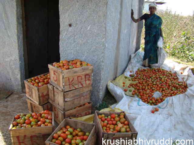 farmers grow but price fixed by others