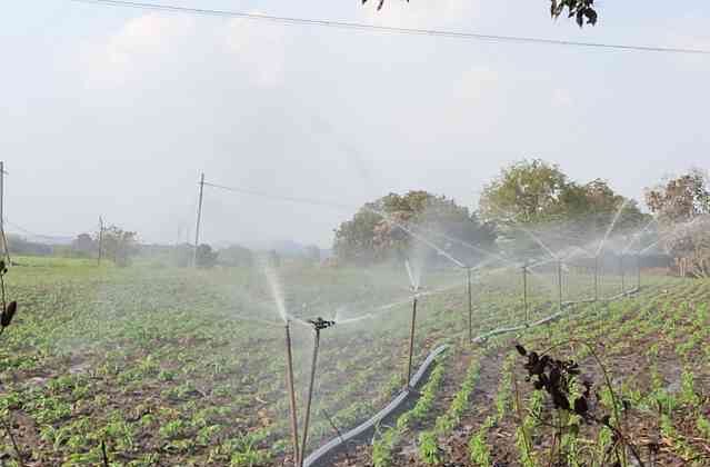 sprinkler installation