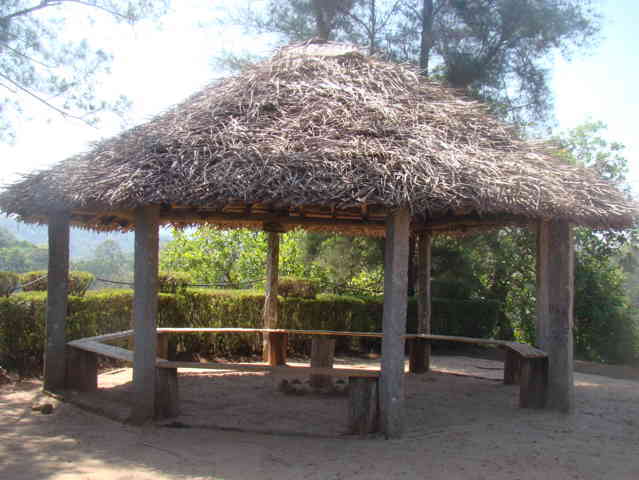 Organic University