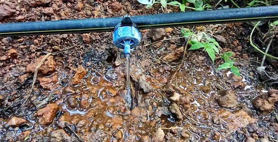 ಹನಿ ನೀರಾವರಿ ಸಾಧನ