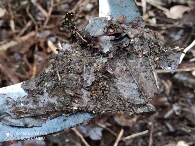 ಬೇಗ ಕೊಳೆಯುತ್ತದೆ- quick de composing 