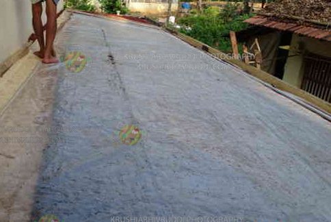 ಬಾಳೆಯ ಕಾಂಡದ ಈ ರೋಗಕ್ಕೆ ಪರಿಹಾರ ಇದು.