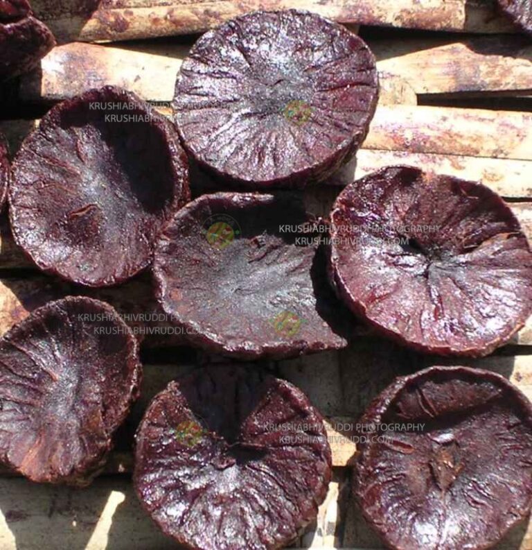 ಬೇಯಿಸಿದ ಅಡಿಕೆ