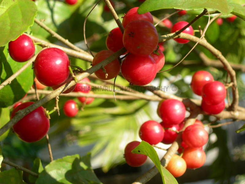 ರೈತರಿಗೂ ಪ್ರಯೋಜನವಿದೆ- ಉದ್ಯೋಗ ಖಾತ್ರಿ ಯೋಜನೆ.
