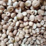 ಚಾಲಿ ಅಡಿಕೆ