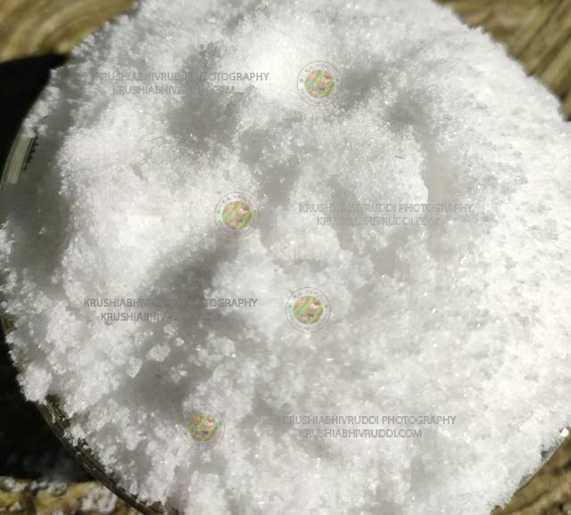 ಸಲ್ಫೇಟ್ ಆಫ್ ಪೊಟ್ಯಾಶ್ SOP