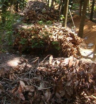 Dry leaf waste mulching