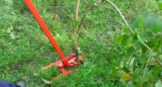 root puller