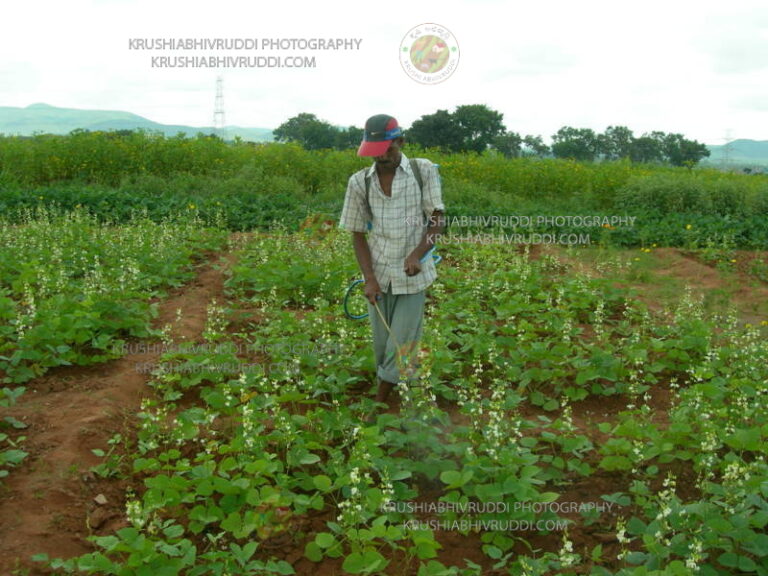 ಜೈವಿಕ ಗೊಬ್ಬರಗಳ  ಮಾರಾಟ ಮತ್ತು ನಂಬಿಕಾರ್ಹತೆ.