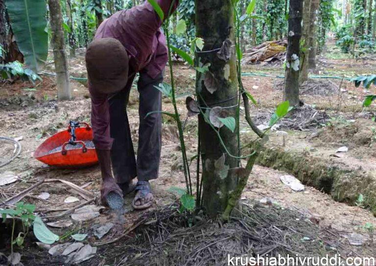 ರಸಗೊಬ್ಬರಕ್ಕೆ ಯಾವ ಕಾರಣಕ್ಕೆ ಬೆಲೆ ಹೆಚ್ಚಳವಾಗುತ್ತದೆ ಗೊತ್ತೇ?