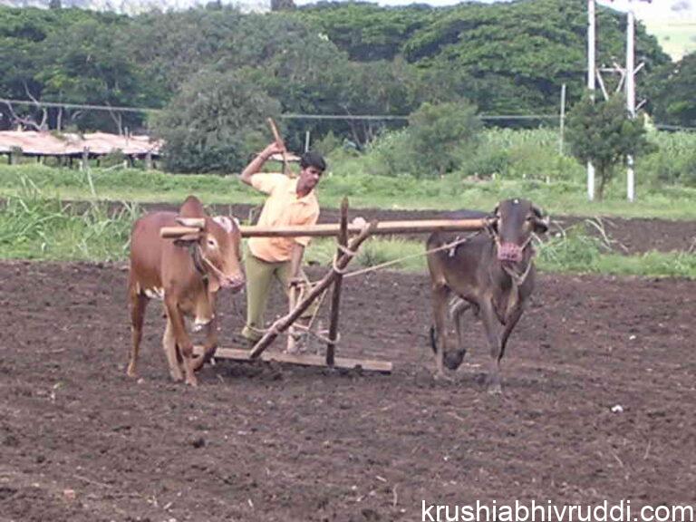 farmer ploughing field
