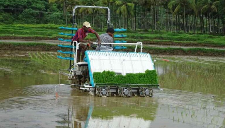 ಬೆಂಬಲ ಬೆಲೆ ಪಡೆದ ಭತ್ತ