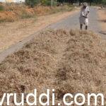 ಸಾವಯವ ಕೃಷಿಕ -Organic farmer -