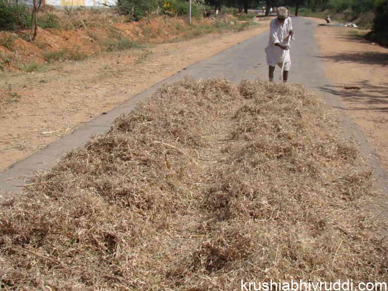 ಸಾವಯವ ಕೃಷಿಕ -Organic farmer -