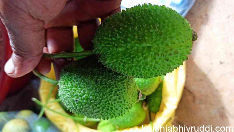 pollination required vegetable