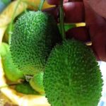 pollination required vegetable