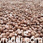 ಉತ್ತಮ ಚಾಲಿ ಅಡಿಕೆ