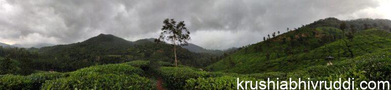 ಸಾವಯವ ಕೃಷಿಯನ್ನು ಅರ್ಥ ಮಾಡಿಕೊಂಡರೆ ಮಾತ್ರ ಅದು ಕೈಹಿಡಿಯುತ್ತದೆ.