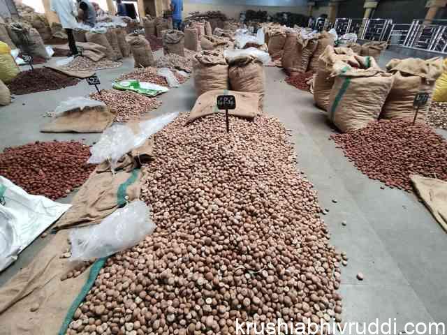 ಅಡಿಕೆ ಹರಾಜು ಪ್ರಾಂಗಣ