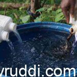 ಬಾಟಲಿ, ಕ್ಯಾನುಗಳಲ್ಲಿ ಜೈವಿಕ ಗೊಬ್ಬರ