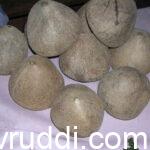 ಕೊಬ್ಬರಿ ಧಾರಣೆ