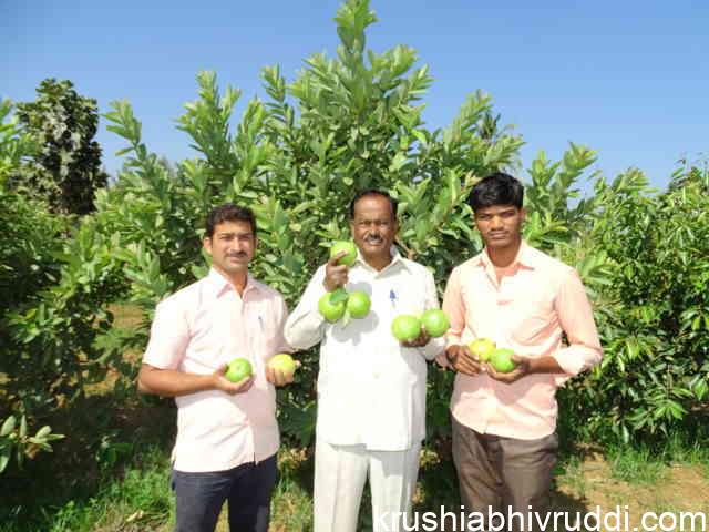 ಕೃಷಿಕರು ಹಣದಲ್ಲಿ ಶ್ರೀಮಂತರಲ್ಲದಿದ್ದರೂ ಹೃದಯ ಶ್ರೀಮಂತರು. ಹೃದಯ ಶ್ರೀಮಂತಿಕೆಯ ಕೃಷಿಕರು.