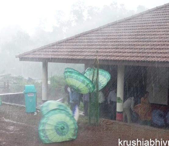 ಗಾಳಿ ಮಳೆ