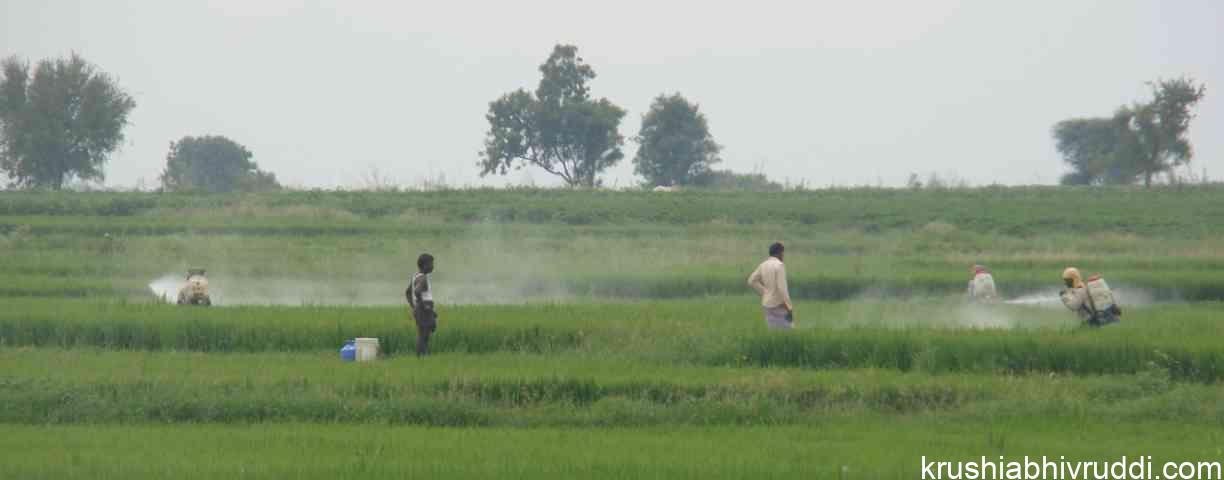 ನ್ಯಾನೊ ಸಾರಜನಕ (ಸಾಂದರ್ಭಿಕ ಚಿತ್ರ