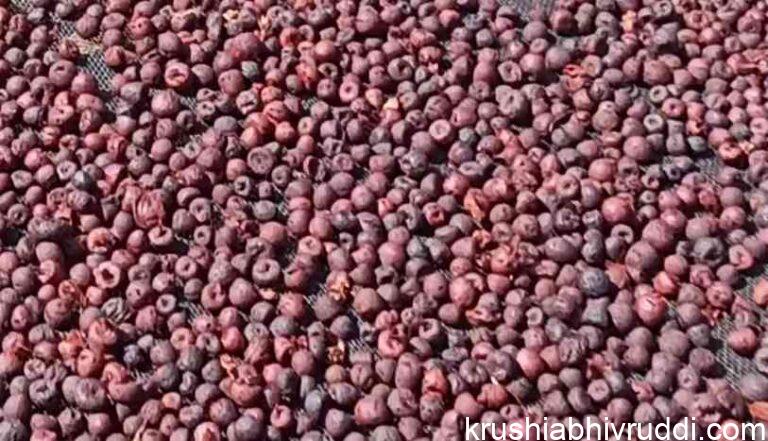 ಅಡಿಕೆ- ಕರಿಮೆಣಸು- ಕಾಫಿ-ಶುಂಠಿ ಧಾರಣೆ: 19-11-2021 ಶುಕ್ರವಾರ.