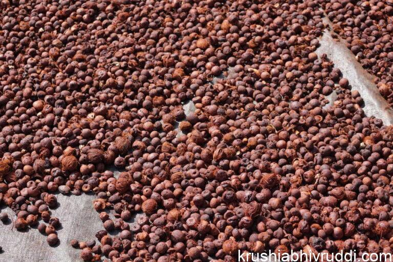 ಕೆಂಪು ರಾಸಿ ಅಯದೆ ಇದ್ದದ್ದು