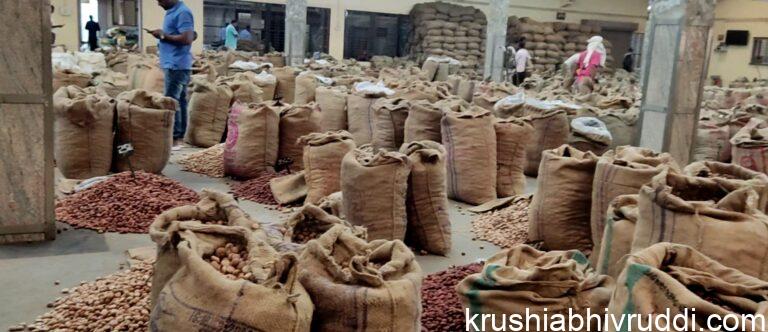 ಚಾಲಿ ಮತ್ತು ಕೆಂಪು ಅಡಿಕೆ ಮಾರಾಟ