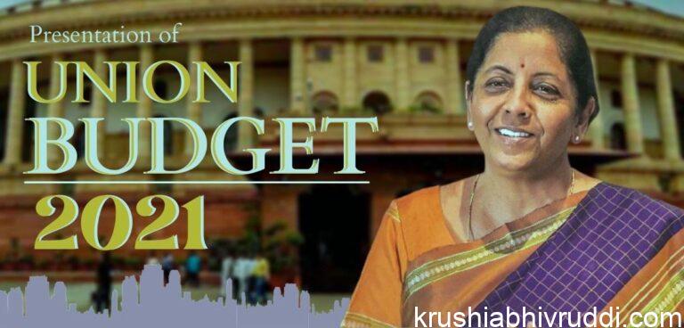 ಕೇಂದ್ರ ಬಜೆಟ್ ವಿತ್ತ ಮಂತ್ರಿ ನಿರ್ಮಲಾ ಸೀತಾರಾಮ್