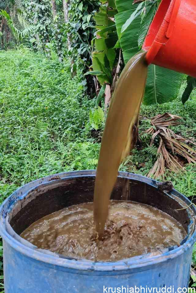 ಸಾವಯವ ರಸಗೊಬ್ಬರ – ರಾಸಾಯನಿಕ ಗೊಬ್ಬರಕ್ಕೆ ಪರ್ಯಾಯ.