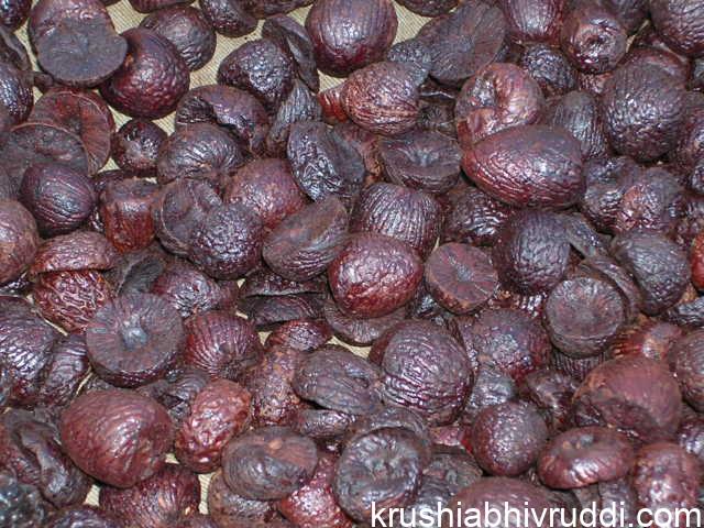 ಅಡಿಕೆ ಮಾರುಕಟ್ಟೆ ಸ್ಥಿರ