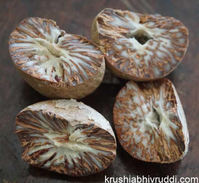 ಚಾಲಿ ಅಸ್ಥಿರ
